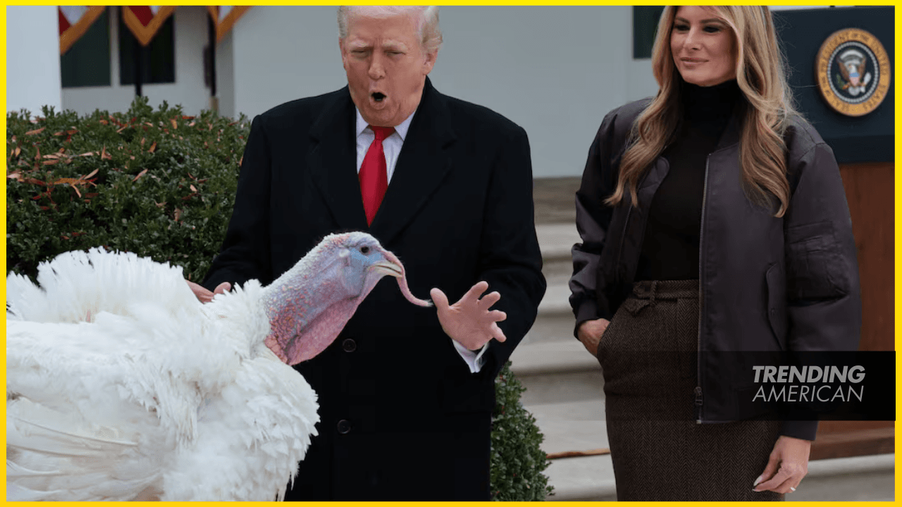 Trump pardons Thanksgiving turkeys Gobble and Waddle, adding to his long pardon list