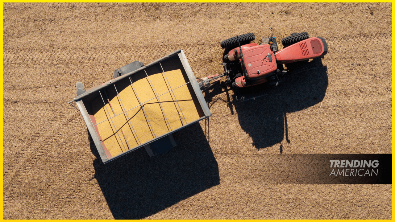 Trump to Unveil $12 Billion in Long-Awaited Farm Aid Program