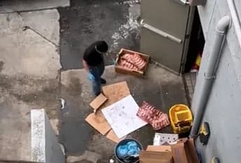 PhoLove Owner Claps Back – Viral Video ‘Sabotage’