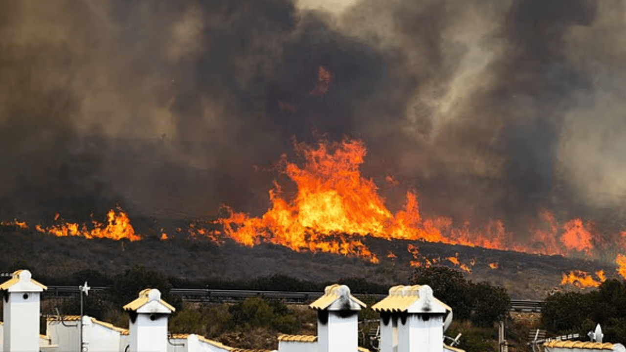 British Man Dies in Spain Wildfire After Returning to Rescue Cats as Death Toll Rises