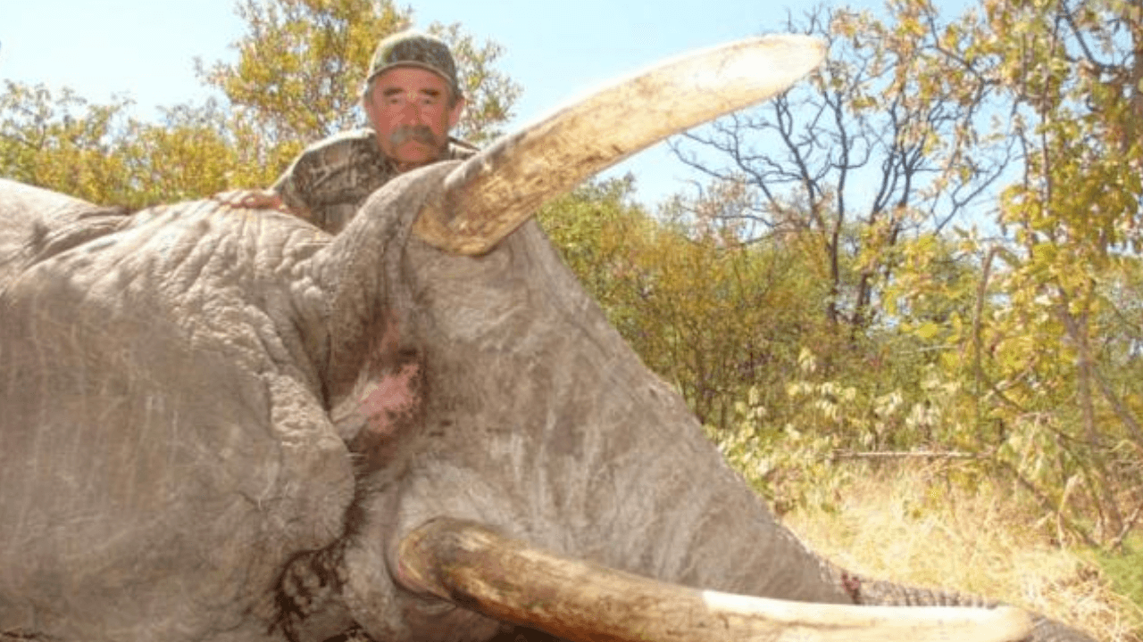 California Hunter Ernie Dosio Dies After Elephant Encounter During Gabon Safari