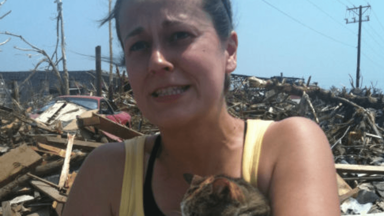 Cat Found Alive After 16 Days Under Rubble of Joplin Tornado