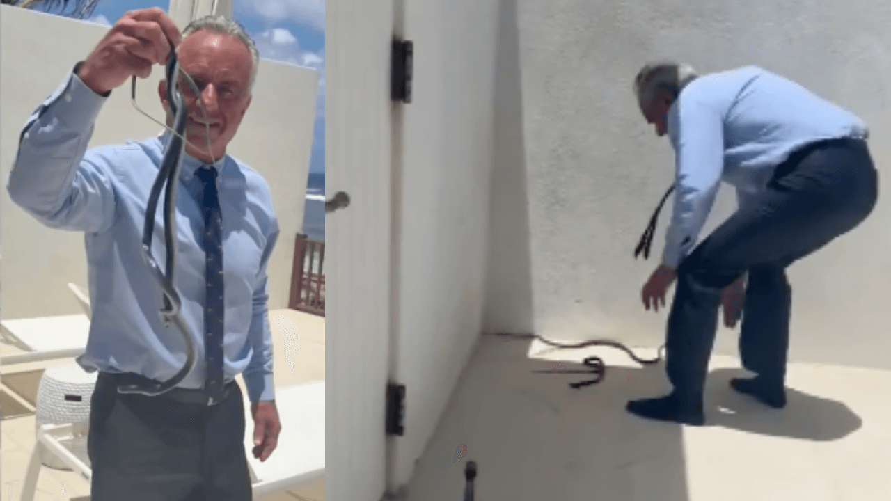 RFK Jr. Snake Video at Dr. Oz’s Home Goes Viral as HHS Secretary Handles Black Racers