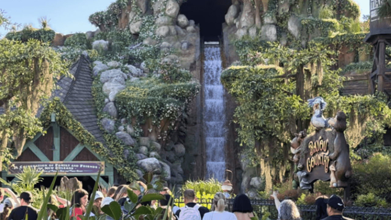 Teen Hospitalized After Leaving Disneyland Ride and Going Down 50 Foot Drop