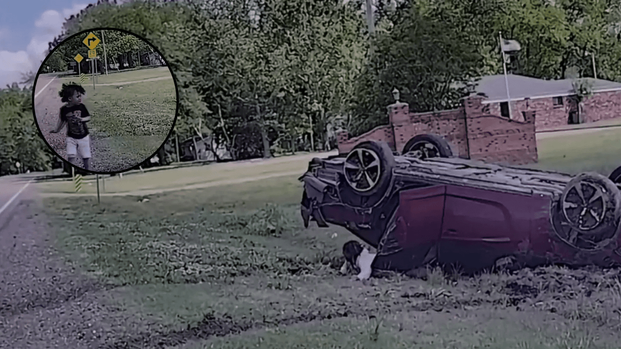 Toddler Walks Away From Arkansas Police Chase Crash After Mom’s Car Flips Upside Down