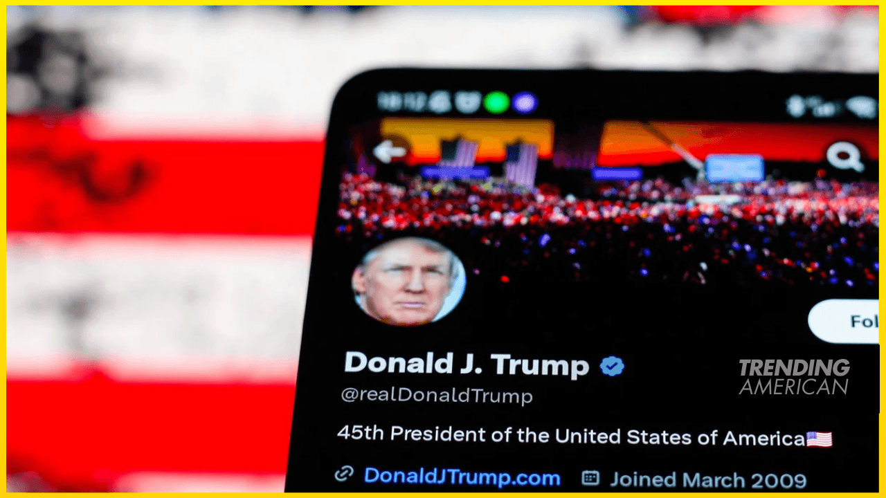 X’s new location reveal sparks questions over authenticity of pro-Trump accounts