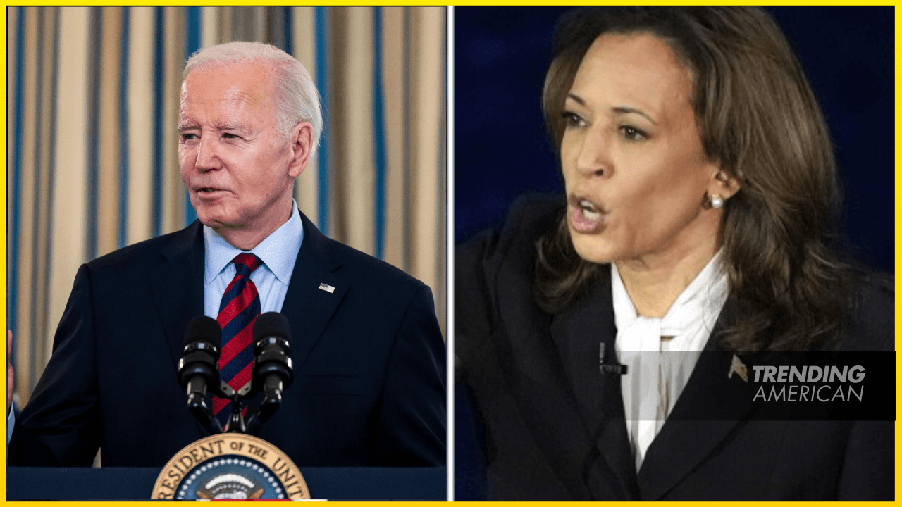 Trump defends asylum freeze, claims Biden and Harris screwed US