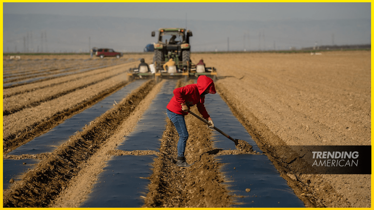 Trump administration to direct more water to California farms