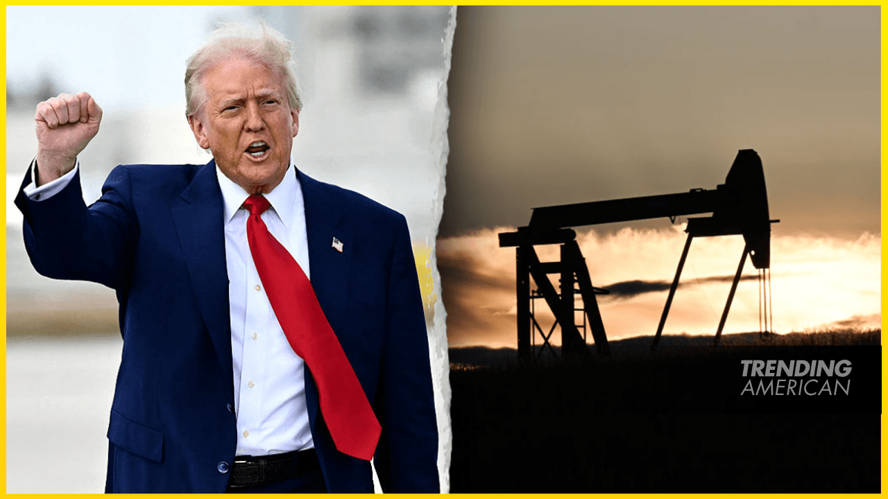 Trump Resurrects Alaska Drilling: A Step Back or Forward?