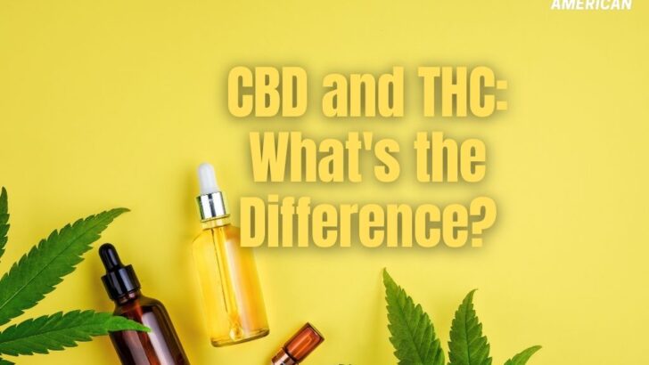 CBD and THC: What’s the Difference?