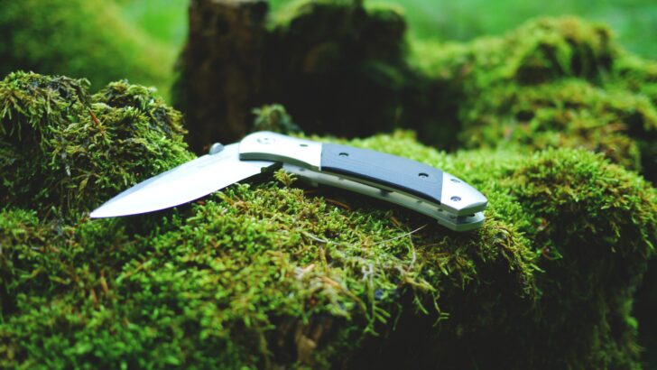 Top 4 Factors to Consider When Choosing Hunting Knives