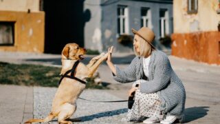 5 Ways to Help Your Pet Friend Beat Stress Every day!