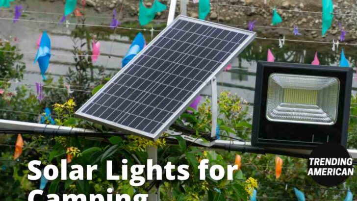 <strong>Solar Lights for Camping</strong>