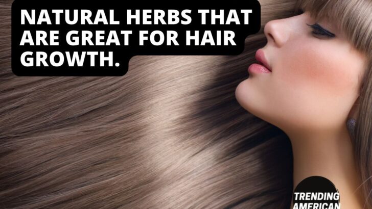 <strong>Natural herbs that are great for hair Growth</strong>