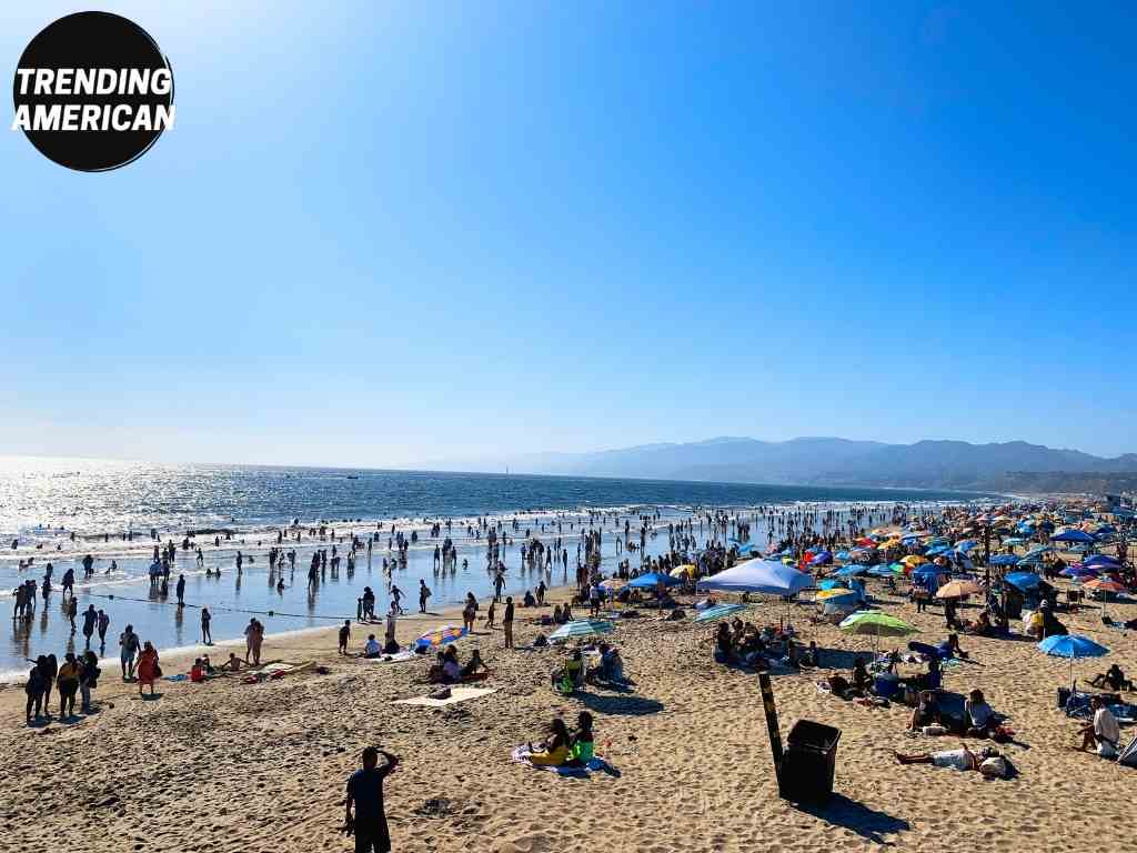 5 Things you must know before visiting Santa Monica Beach