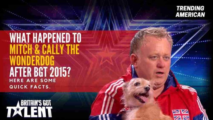 What Happened to Mitch & Cally the Wonderdog after BGT 2015? Here are some quick facts.