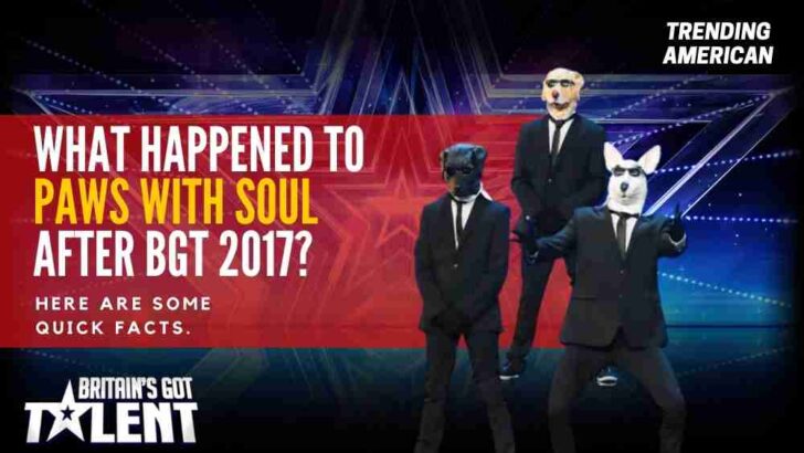 What Happened to Paws With Soul after BGT 2017? Here are some quick facts.