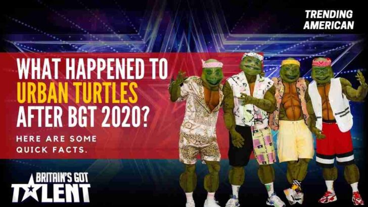 What Happened to Urban Turtles after BGT 2020? Here are some quick facts.