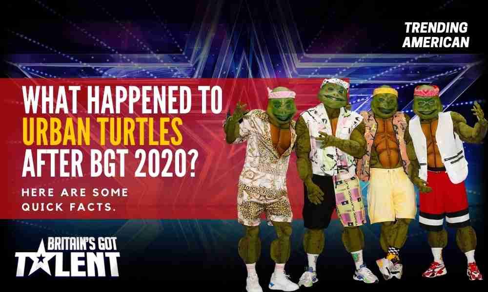 Copy-of-Trending-American-BGT-2020-Urban-Turtles