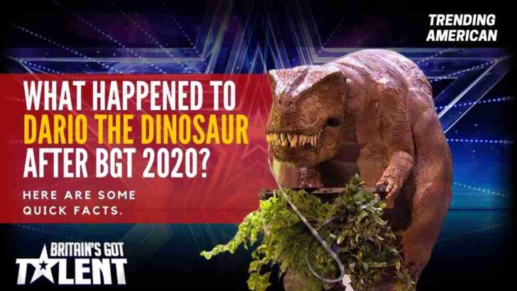 What Happened to Dario the Dinosaur after BGT 2020? Here are some quick facts.