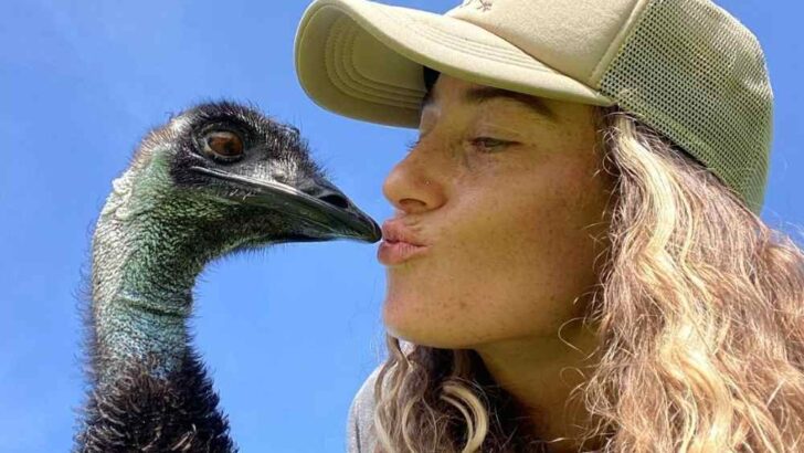 Here is the story behind Viral Emu, Emmanuel from Knuckle Bump Farms & owner Taylor Blake