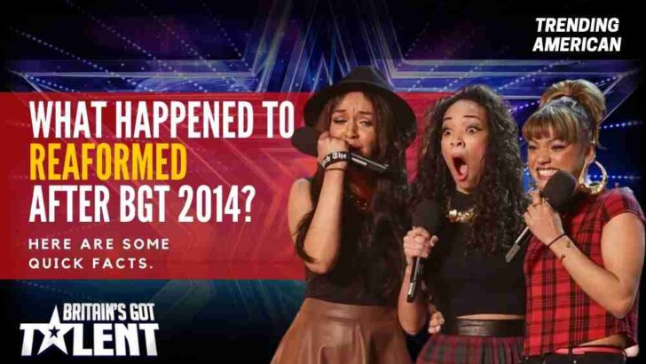 What Happened to REAformed after BGT 2014? Here are some quick facts.