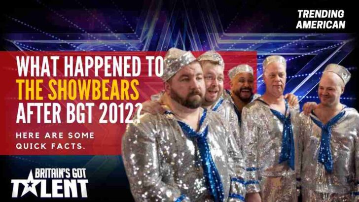 What Happened to The Showbears after BGT 2012? Here are some quick facts.