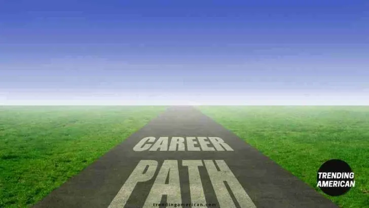 3 Different Career Paths