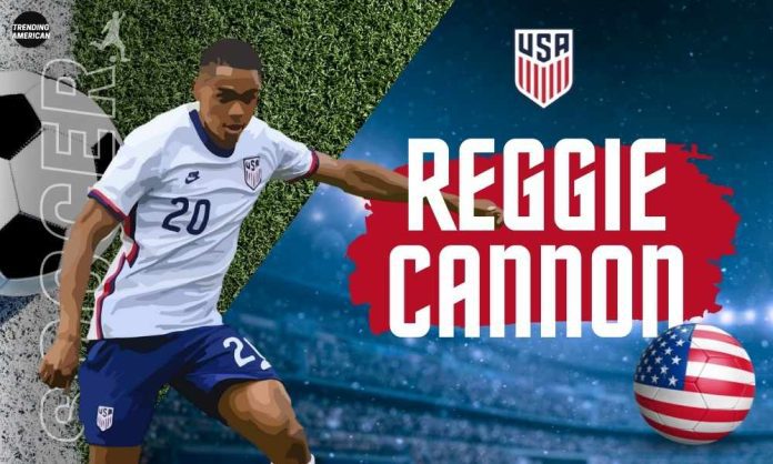 Reggie Cannon | Quick facts about USA Men's national team soccer player