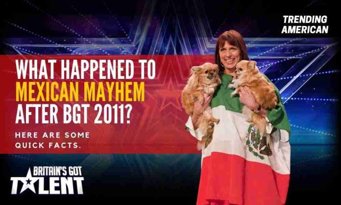 Mexican Mayhem in Britain's Got Talent in 2011. He got eliminated from the finals. Here is what happened to Mexican Mayhem BGT with some facts.