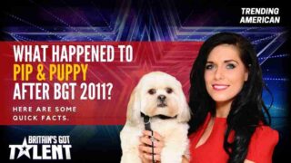 Trending-American-BGT-2020-Pip-Puppy