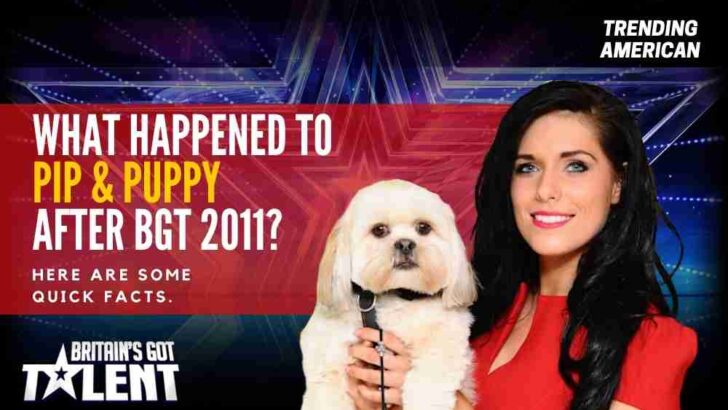What happened to Pip & Puppy after BGT 2011? Here are some quick facts