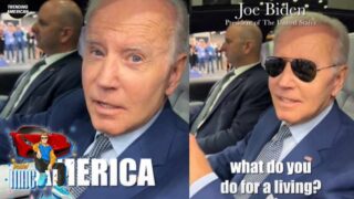 What does Joe Biden do for a living Daniel Mac Interview