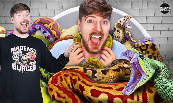 Would You Sit In Snakes For $10,000 _ Video review