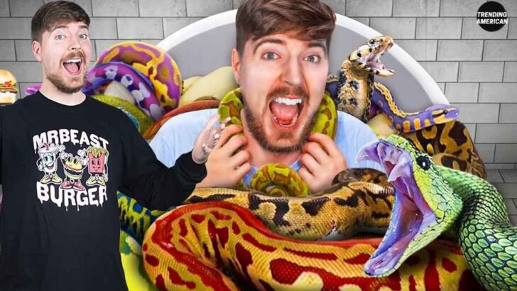 MrBeast’s “Would You Sit In Snakes For $10,000” | Video review