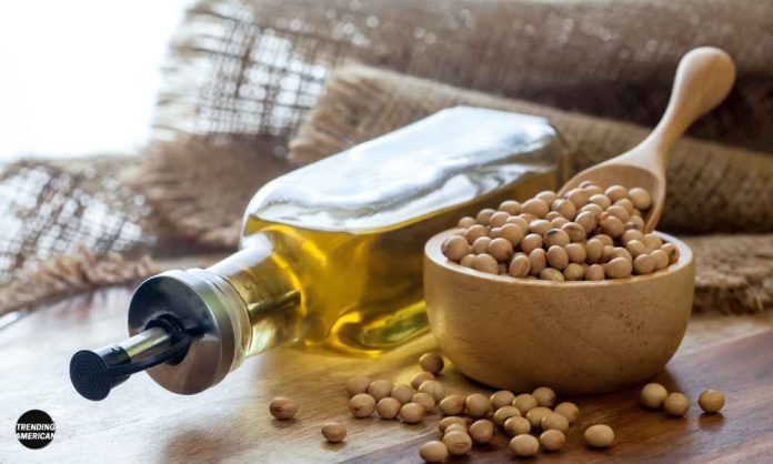 5 Best Benefits and Uses of Soybean Oil