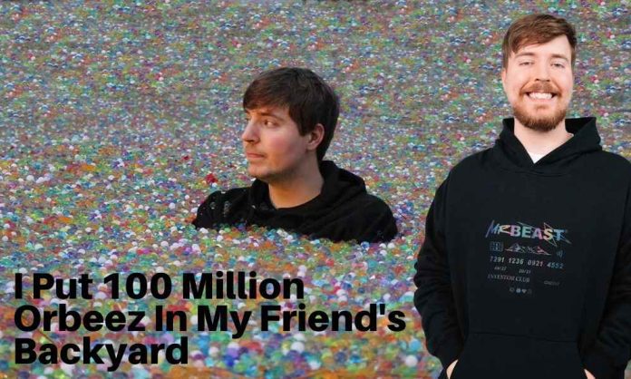 MrBeast’s “I Put 100 Million Orbeez In My Friend’s Backyard” _ Video review