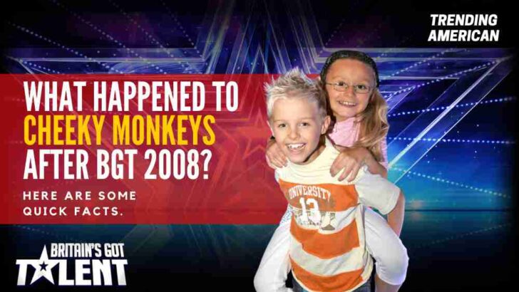 What happened to Cheeky Monkeys after BGT 2008? Here are some quick facts