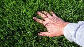 5-Tips-on-Maintaining-the-Perfect-Lawn
