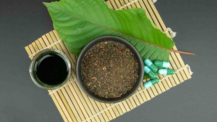 <strong>Is Kratom Effective for Treating Depression and Anxiety?</strong>