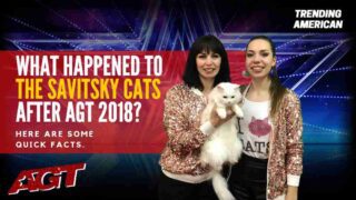 The-Savitsky-Cats-Trending-American-AGT