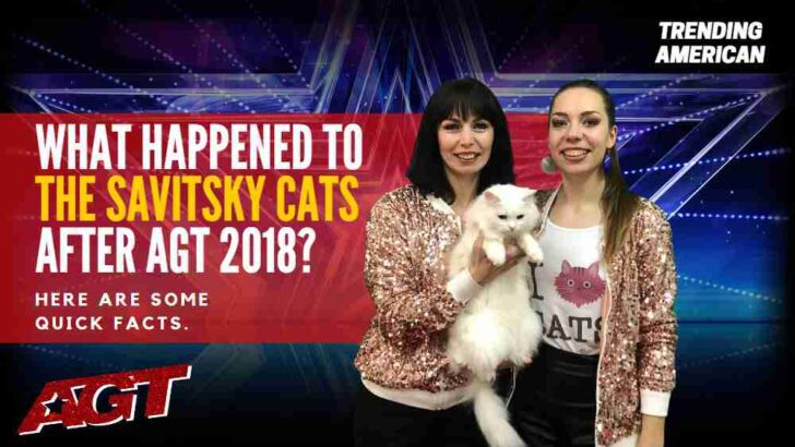 Where Are The Savitsky Cats Now? Here is their Net Worth & Latest Update After AGT.