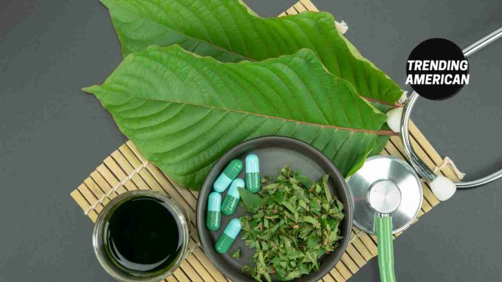 <a></a>Is kratom safe? Debunking myths and misconceptions about kratom