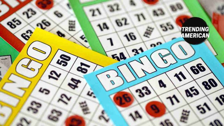 The Phenomenon of Online Bingo: Understanding Why It Remains So Popular