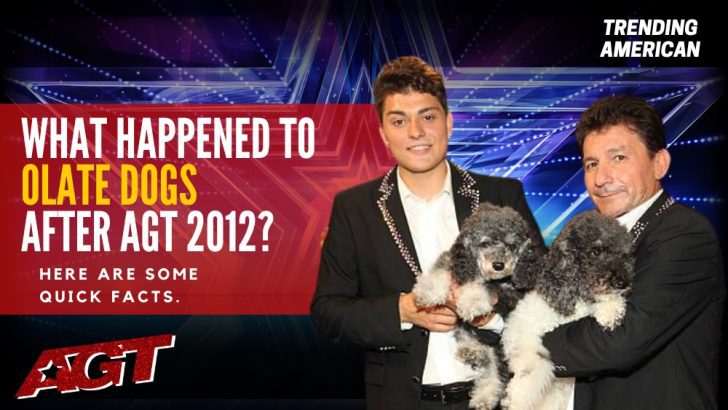 Where Are Olate Dogs Now? Here is their Net Worth & Latest Update After AGT.