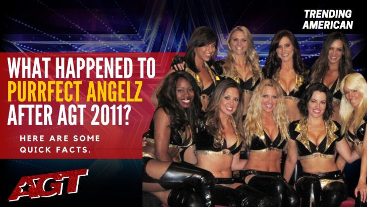 Where Is Purrfect Angelz Now? Here is their Net Worth & Latest Update After AGT.