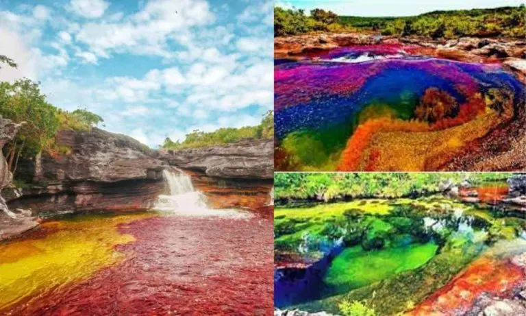 The Breathtaking River of Five Colors! | Fascinating Story Behind The Rainbow Colors of Caño Cristales River