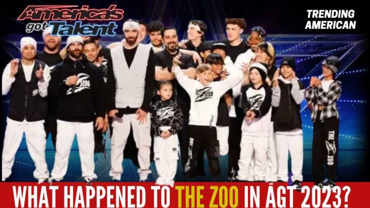What happened to The Zoo in America’s Got Talent  