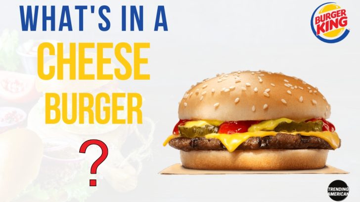 What’s in a Cheeseburger?