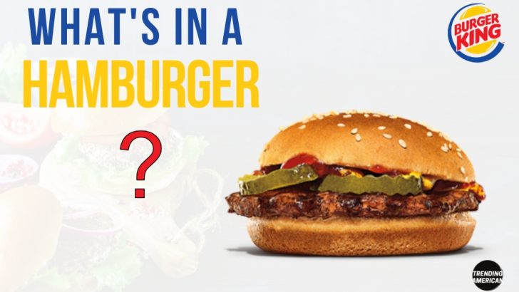 What’s in a Hamburger?